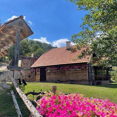 Konak Mandica Avlija Zaovine Exteriér fotografie