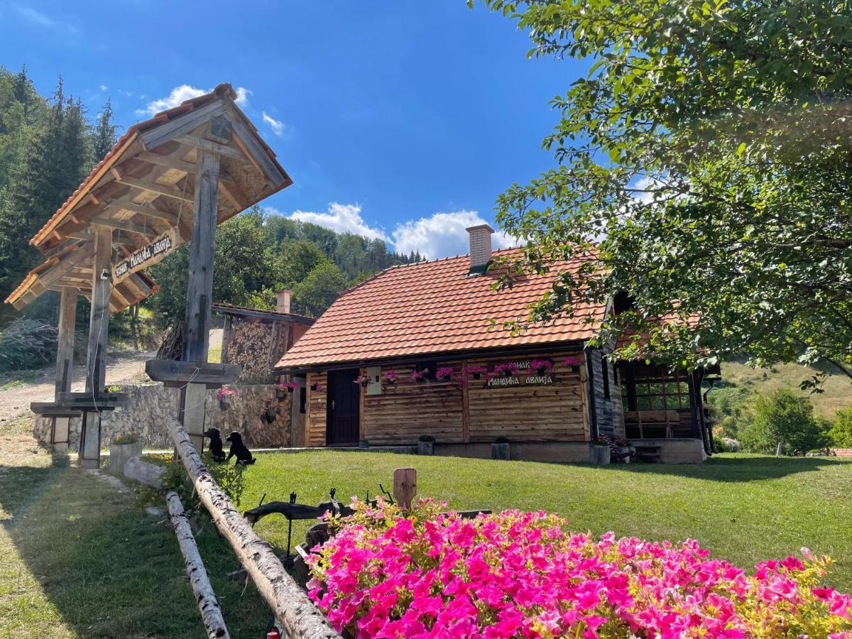 Konak Mandica Avlija Zaovine Exteriér fotografie