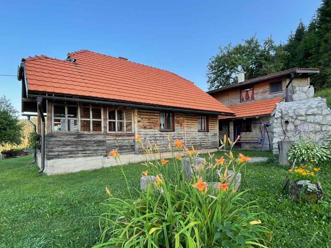 Konak Mandica Avlija Zaovine Exteriér fotografie