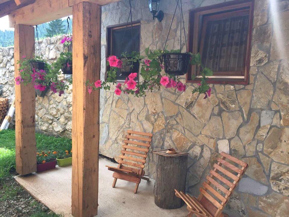Konak Mandica Avlija Zaovine Exteriér fotografie
